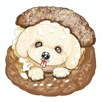 シューカッププードル シュークリーム,犬,トイプードル,白,可愛い,ペット,イラストのイラスト素材