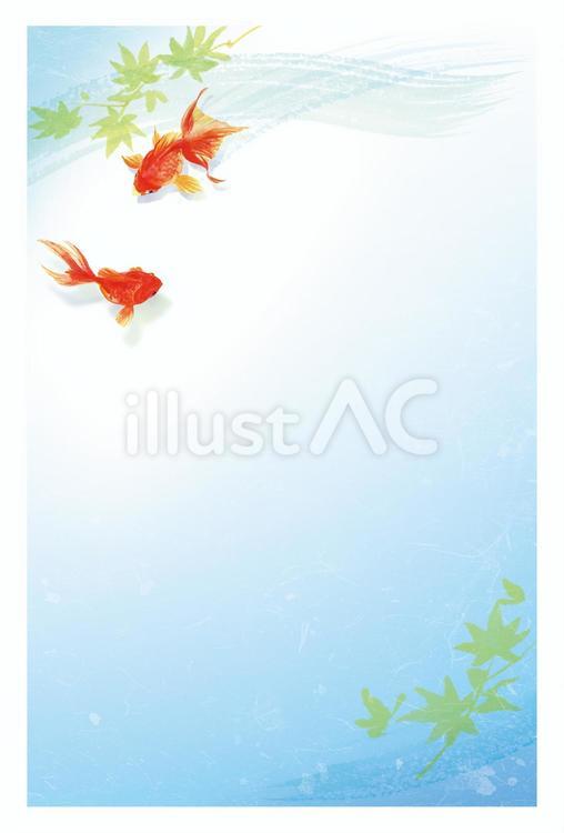 左上に金魚が泳ぐ挨拶はがき　水彩 暑中見舞い,残暑見舞い,金魚のイラスト素材