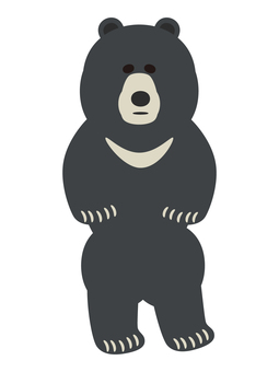 黒い熊のイラスト素材9 熊,くま,立つ,かわいい,野生,動物,爪,大きい,黒,ツキノワグマのイラスト素材