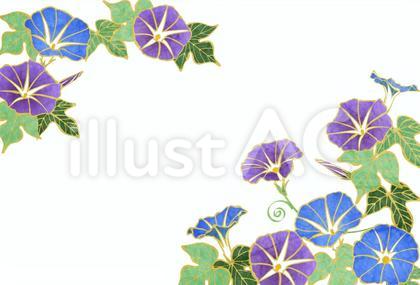 SummerCard2482