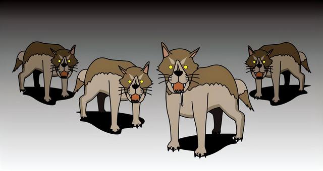 夜の狼　 狼,複数,群れ,獣,威嚇,動物,猛獣,狂暴,狩り,暗いのイラスト素材