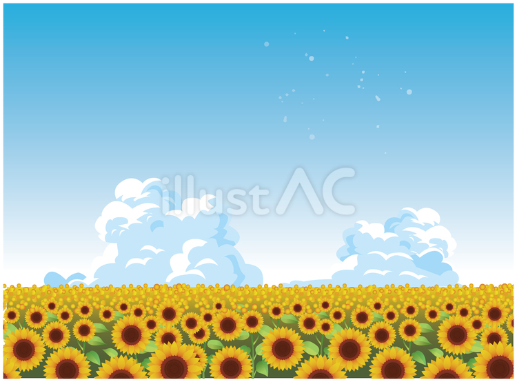 夏のひまわり畑風景 夏,夏季,ひまわりのイラスト素材