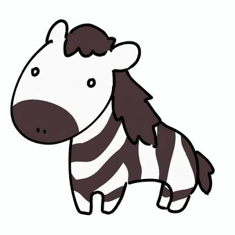 しまうま しまうま,馬,白黒,動物,生き物,哺乳類,四足歩行のイラスト素材