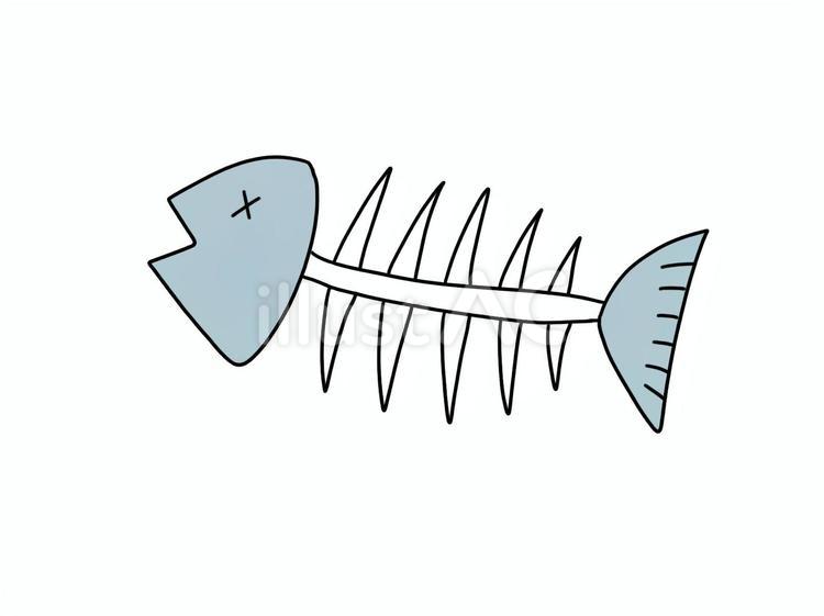 魚の骨のイラスト 魚,骨,生ゴミのイラスト素材