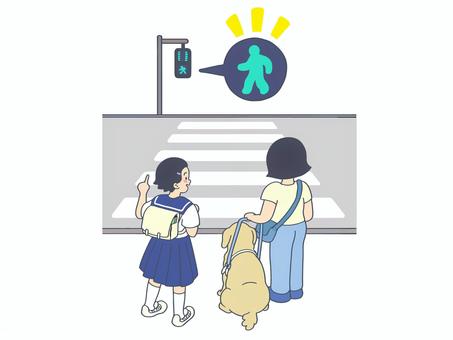 信号で待つ盲導犬と視覚障害者 声かけ,学生,福祉,介護,介助犬,信号,道路,青信号,障がい者,視覚障害者のイラスト素材