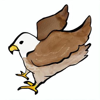 鷹 鷹 鷹,年賀状,鳥のイラスト素材