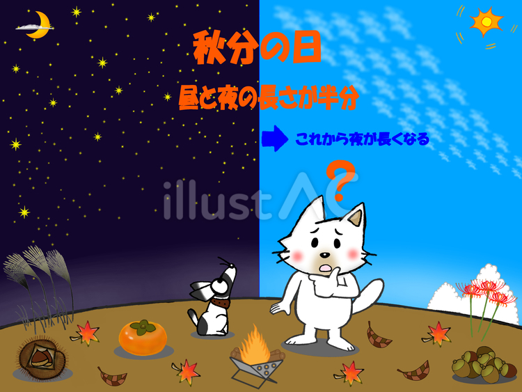 秋分の日とは？猫と犬の常識解説 秋分の日,祝日,猫のイラスト素材