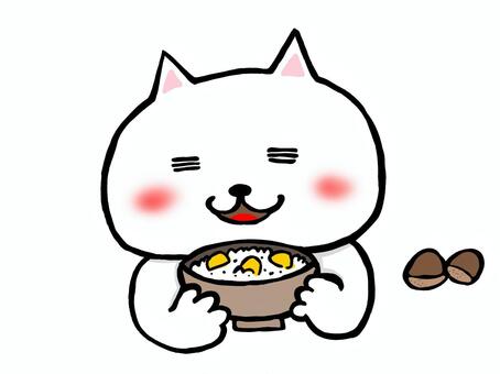 栗ごはんを食べる白猫 ネコ,手描き,かわいい,猫,白,白猫,ゆるい,栗,栗ごはん,秋のイラスト素材