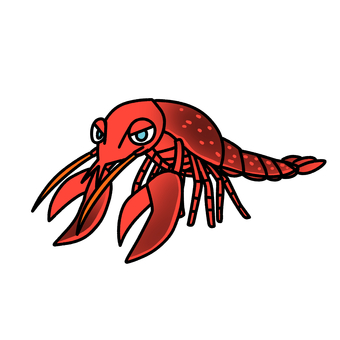 アメリカザリガニ アメリカザリガニ,甲殻類,ザリガニ,赤,水辺,生き物,外来種のイラスト素材