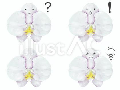 花のキャラの表情セット 考 胡蝶蘭