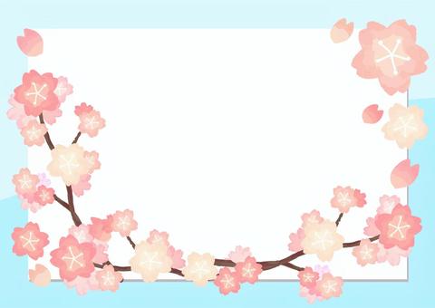  Cherry Blossoms Card, cherry blossoms, frame, wallpaper, JPG, PNG and AI