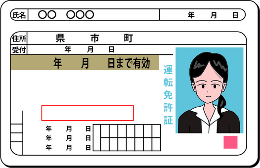 Illustration, driver's license, license, identification, 