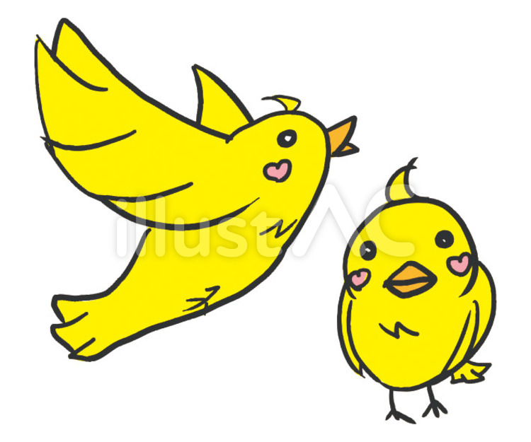 ことり 小鳥,鳥のイラスト素材