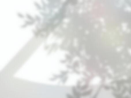 木と窓の影がうつる背景 背景,壁紙,木,窓,影,素材,射光のイラスト素材