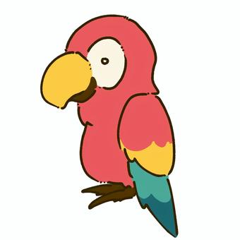 オウム オウム,鳥,かわいい,カラフル,動物,生き物のイラスト素材