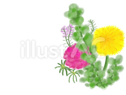 綺麗な花と草