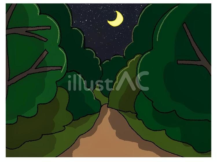 森の中の道 道,森,木のイラスト素材