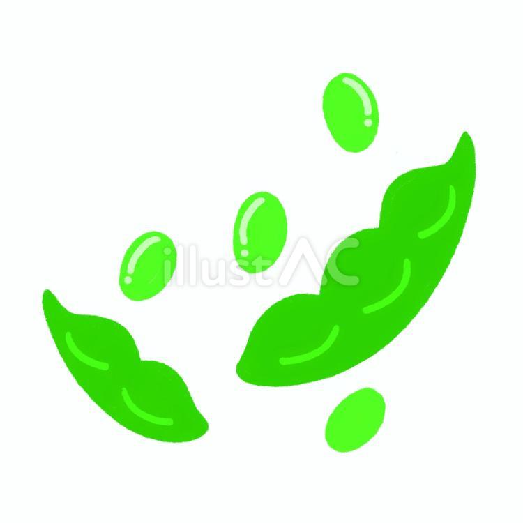 枝豆　手書き　イラスト 枝豆,手描き,野菜のイラスト素材