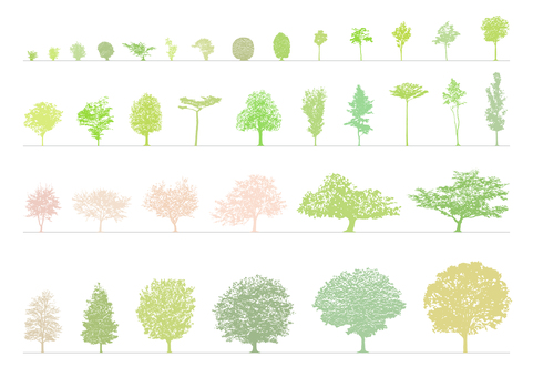 樹木のシルエット_25_植栽36本セット 添景,木,点景,cad,切り抜き,背景透過,建築図面,パース,立面図,陰影のイラスト素材