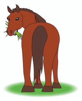 草を食べる馬の後ろ姿のイラスト 馬,草,食事,後ろ姿,動物,イラストのイラスト素材