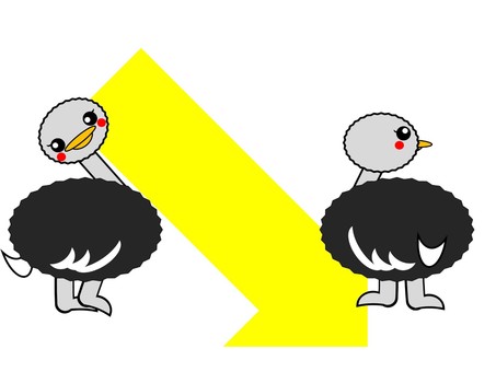 Ostrich arrow, JPG and PNG Ostrich arrow, страус, птица, которая не может летать, птицы, JPG and PNG