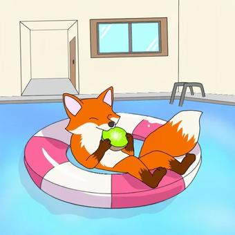 【短文カード】「き」の言葉① キツネ,プール,浮き輪,キウイ,言語聴覚療法,絵カード,構音,情景画のイラスト素材