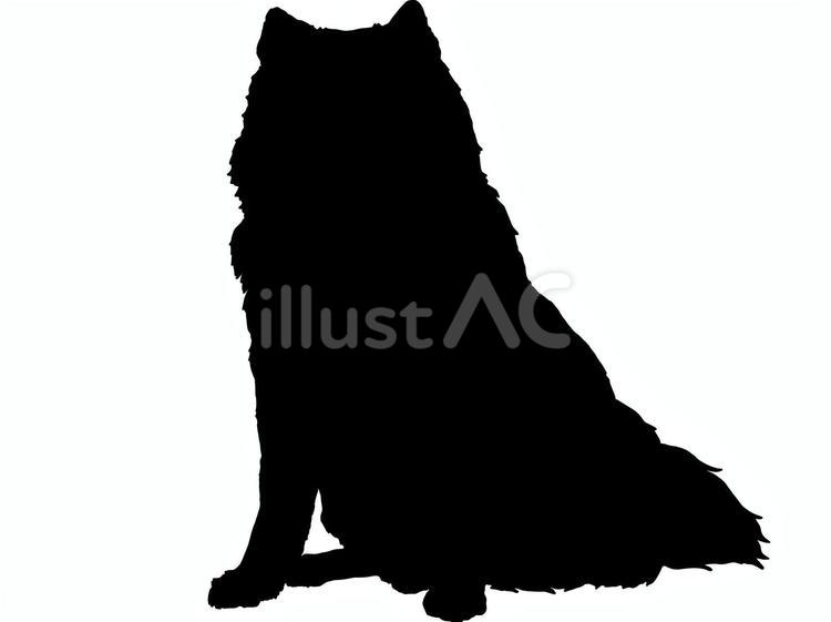 サモエド　シルエット サモエド,ロシア,犬のイラスト素材
