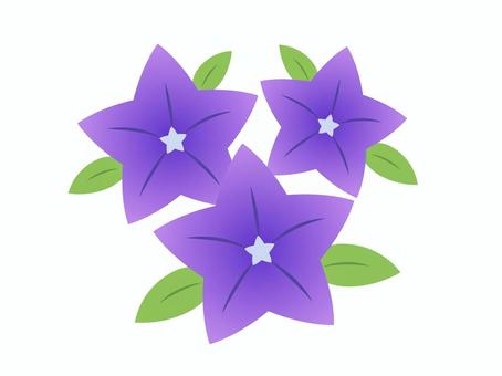 桔梗/葉つき ベクター,桔梗,和柄,シンプル,和風,夏,秋,イラスト,シルエット,6月のイラスト素材
