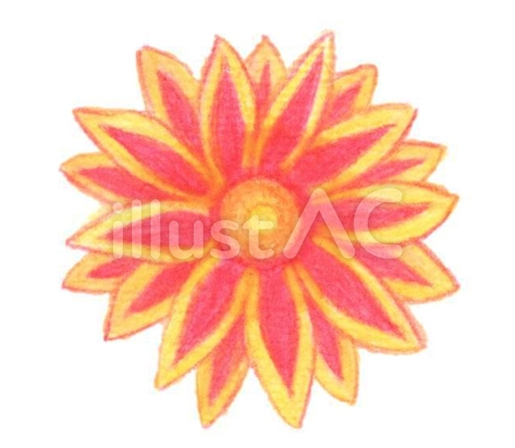 夏の花 花,夏,黄色のイラスト素材