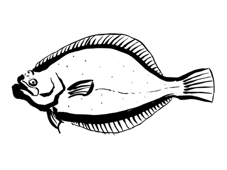 ひらめ（モノクロ） 平目,魚,筆,白黒,躍動感,シンプル,魚介,白身魚,刺身,寿司のイラスト素材