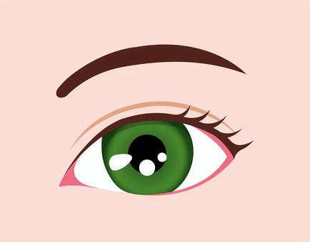 目の虹彩の色 (人種) / グリーン 目,色,瞳,人種,カラーコンタクト,白人,カラー,人物,アップ,外国人のイラスト素材