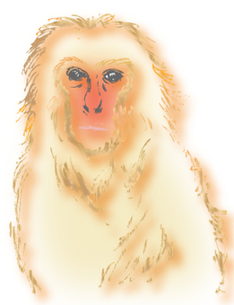 Monkey (CS 5), shen, singe, un singe, JPG, PNG and AI