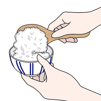 しゃもじでご飯をよそう ご飯,盛り付け,しゃもじ,茶碗,食事,料理,手元,配膳のイラスト素材