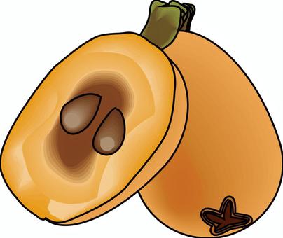 ビワ  ビワ  ビワ,果物,枝,熟す,栽培,カット,イメージ,線画,立体のイラスト素材