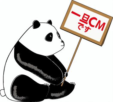 CMパンダ　 cm,パンダ,宣伝,動物園,座る,看板,持つ,メッセージ,かわいい,線画のイラスト素材