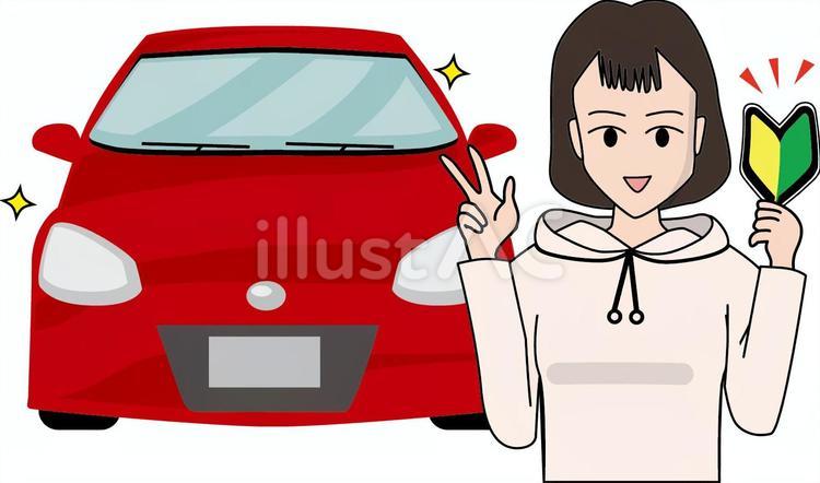 初心者　マーク　 初心者,マーク,免許のイラスト素材
