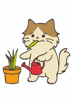 CA_C09_ねこくさもぐもぐ 猫,手描き,動物,日常風景,かわいい,猫草,じょうろのイラスト素材