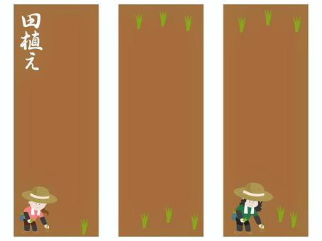 Illustration, la plantación de arroz, la planta de arroz, verdor, 