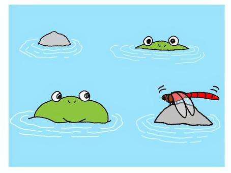カエルと赤とんぼ カエルと赤とんぼ カエル,赤とんぼ,見る,目,口,水面,pop調,手描き,お知らせ用,宣伝用のイラスト素材