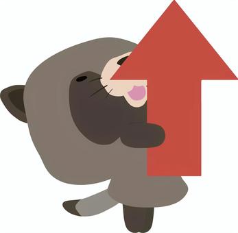 Arrow_above_racoon_smile, JPG, PNG 和 AI Arrow_above_racoon_smile, 箭頭, 笑臉, 動物, JPG, PNG 和 AI