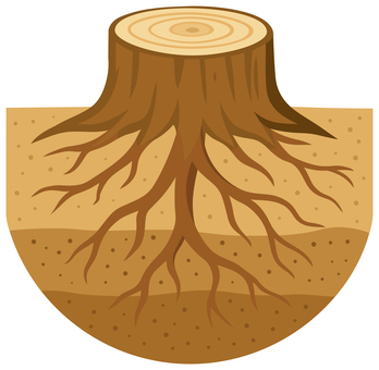 切り株＋根っこ 切り株,根っこ,株,根,土,挿絵,アイコン,白背景,透過,無料のイラスト素材