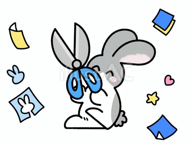 ハサミを使って紙を切るウサギ　灰色ダッチ ウサギ,ダッチ,ハサミのイラスト素材