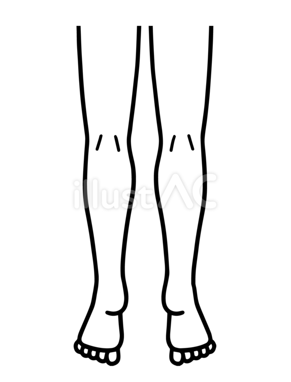 下腿後面の線画 下腿,後面,裏のイラスト素材