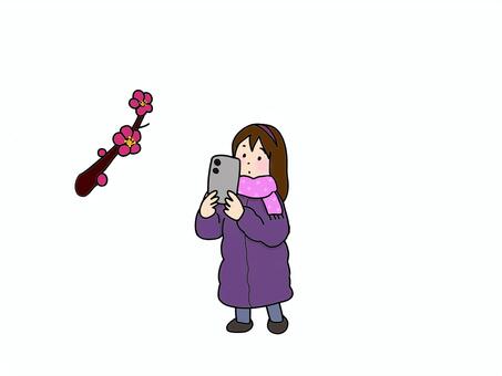 春の訪れ 梅,春,女の子,スマホ,散歩,写真のイラスト素材