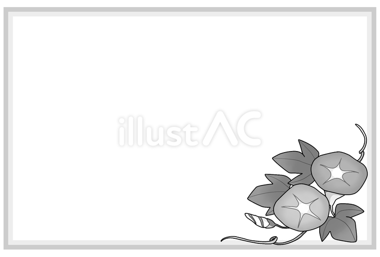 二輪の朝顔と二色グラデの囲み飾り枠　白黒 朝顔,植物,花のイラスト素材