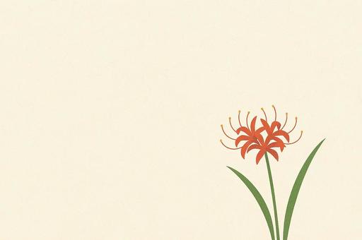 彼岸花の背景（ワンポイント） 秋,彼岸花,花,背景,植物のイラスト素材