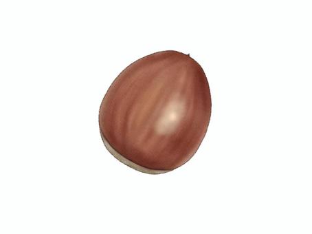 水彩画風どんぐり(太)のイラスト