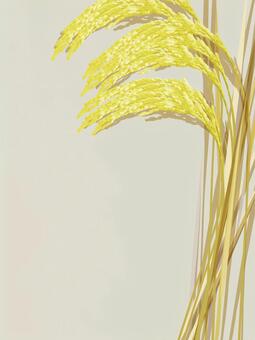 金色の稲穂とキャンバス地　ine010 稲穂,金色,リアル,収穫,お米,ナチュラル,お洒落,自然,植物,大人っぽいのイラスト素材