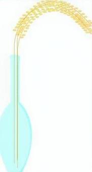 ススキが入った花瓶　アイソメトリック 花瓶,ススキ,十五夜,月見,シンプル,イラスト,アイソメトリックのイラスト素材