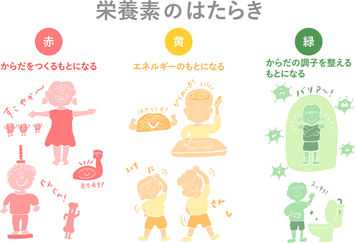 栄養素のはたらき＿影カラー線消し 栄養素,はたらき,食育,こども,三色,食品,栄養,赤,緑,黄のイラスト素材